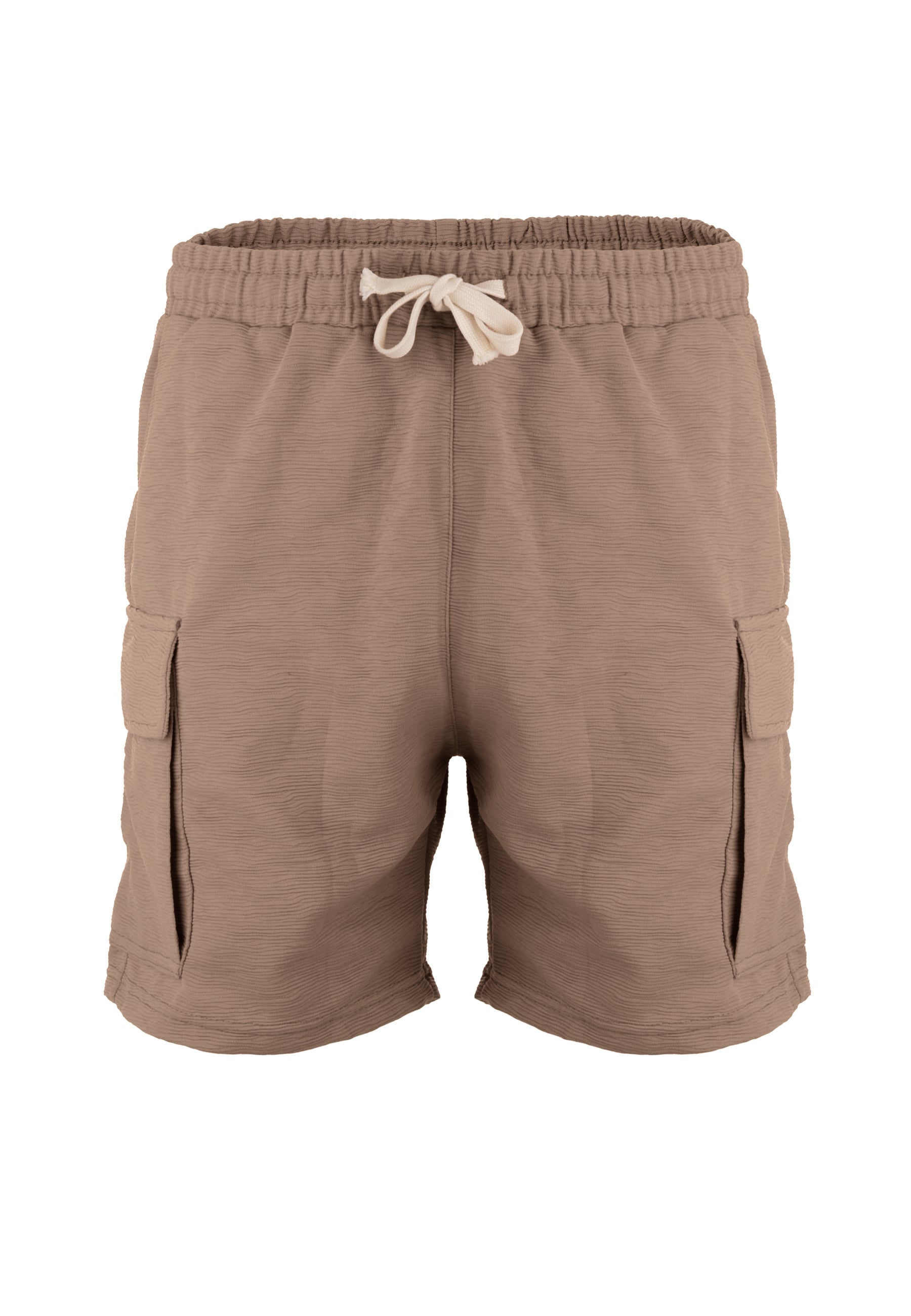 ABSOLUT Shorts