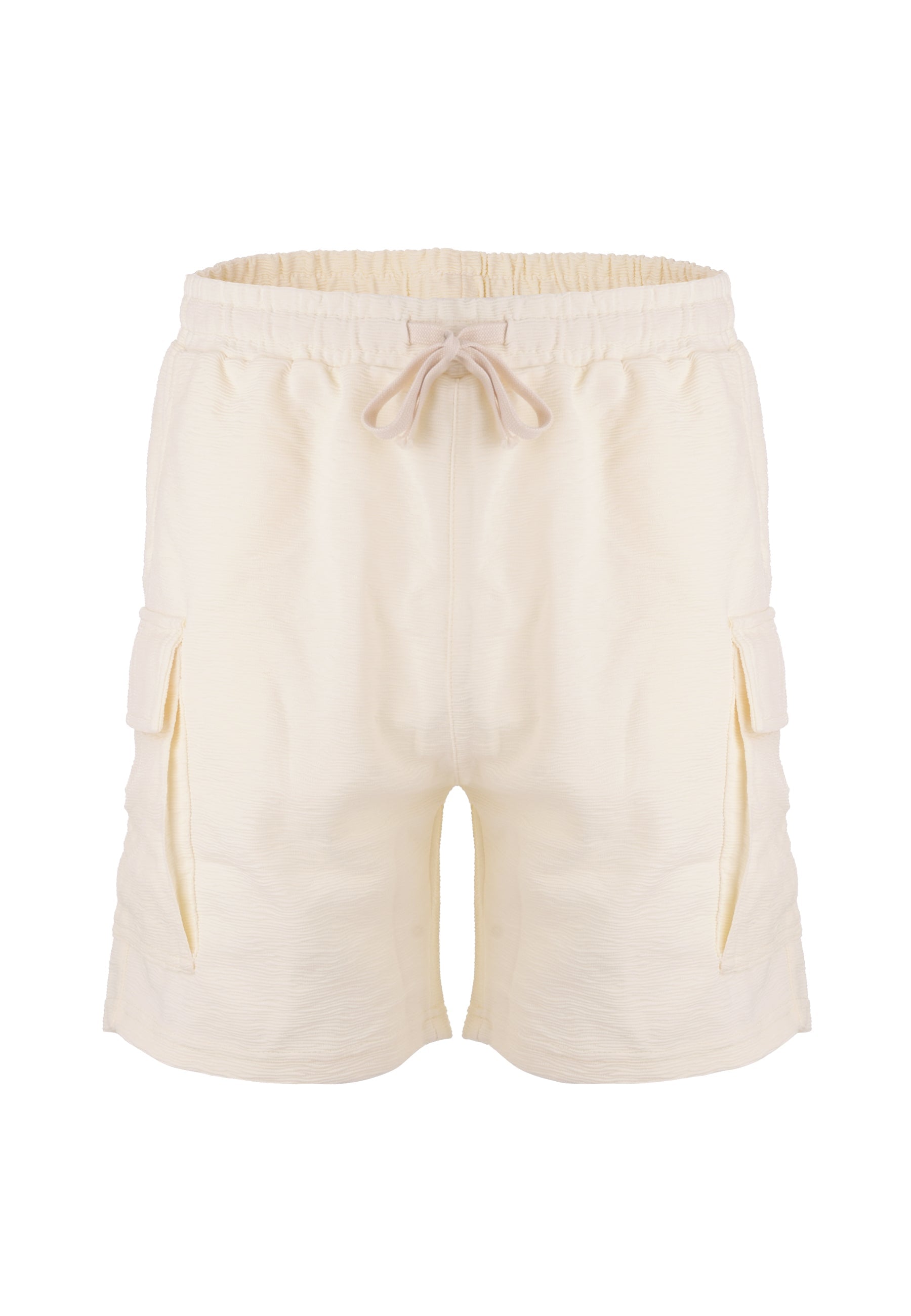 ABSOLUT Shorts